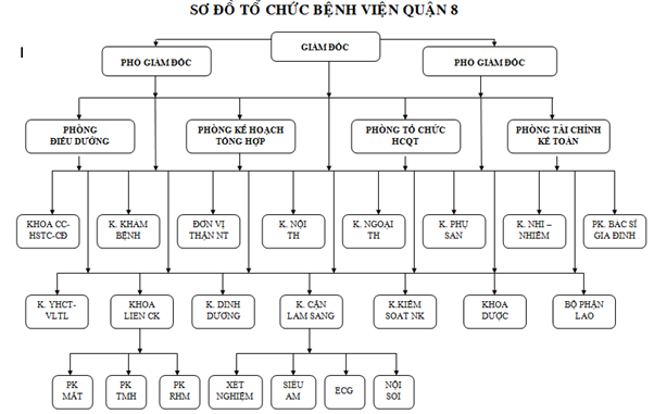 BỆNH VIỆN QUẬN 8 2 bvq8.2